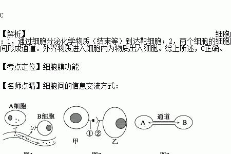 细胞识别与细胞间信息交流