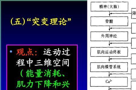 突变理论的四大特征