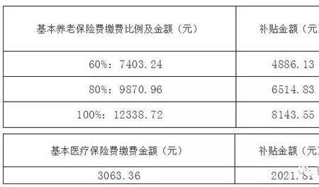 安徽灵活就业社保包括哪些保险