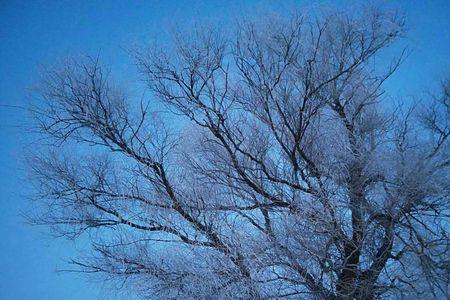 漫天风雪无尽悲伤出自哪里