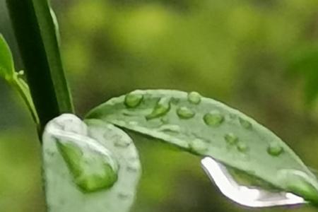 一颗颗雨滴仿写