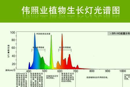 植物光谱有哪几种颜色