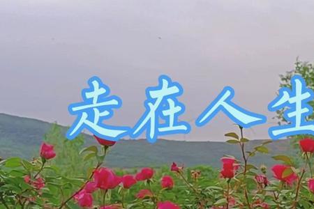 走在人生的路口歌曲什么意思