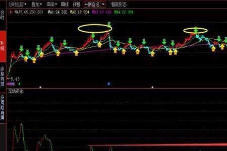 整整高出200倍的整整是什么意思