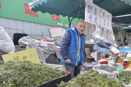 乌市安宁渠挖野菜地方