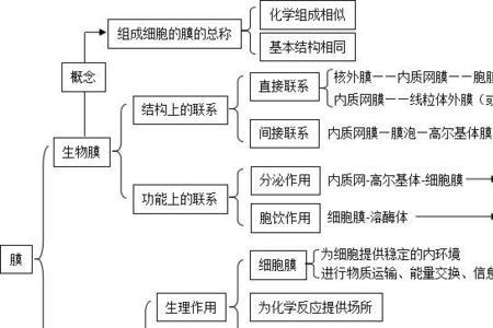 分化作用按性质可划分为