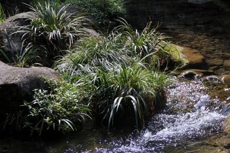 井水属于山泉水还是纯净水