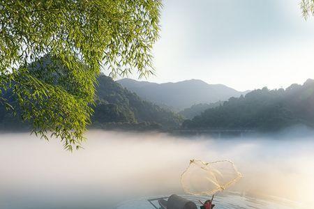 河静已无情雨盖选自哪个古诗