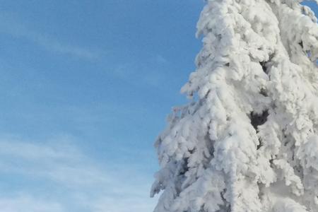 为什么有的人用雪景做壁纸