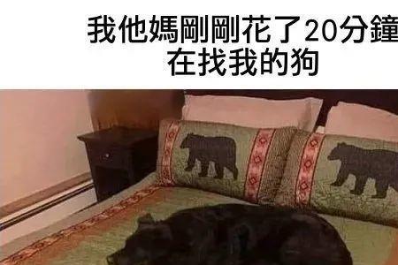 人还可以笑死吗