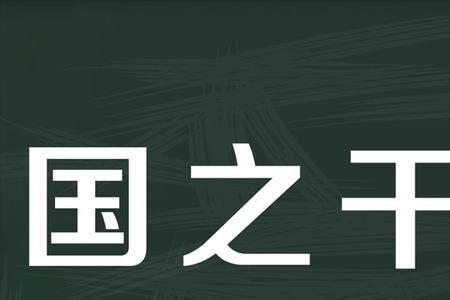 以国为国以国为家什么意思