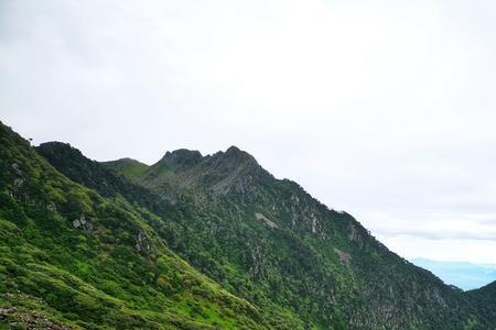 大理苍山有豹子吗