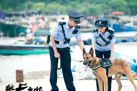 警犬来啦后妈结局