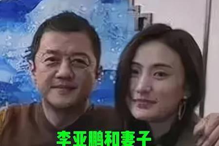 李亚鹏现任职务