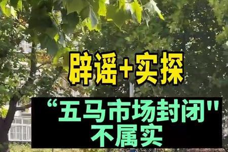 泰安五马市场正常营业吗