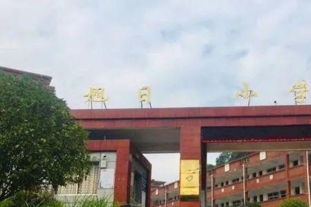 安源中学什么时候开学