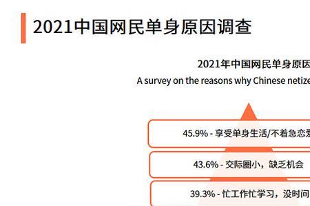 选择性单身什么意思