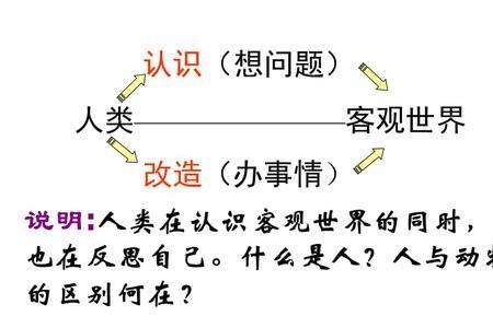 个体的能动性就是个体的活动吗