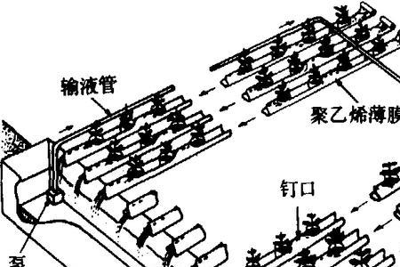 无心栽培的意思