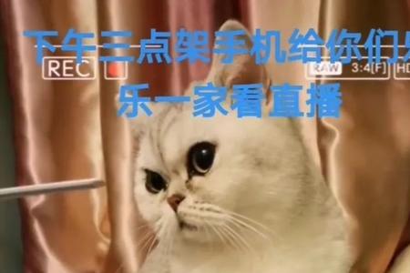 武汉最早方言猫叫什么