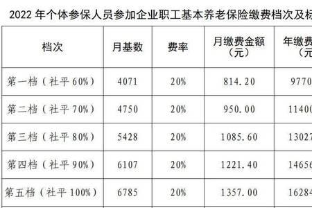 单位缴纳社保为什么显示灵活