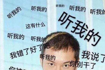 反话大王什么意思