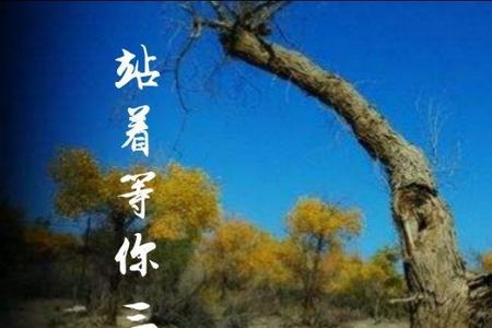 歌曲妹妹等你三千年原唱