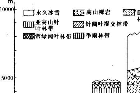 针叶阔叶林主要分布在什么地方