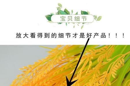 麦穗和稻穗的外形区别