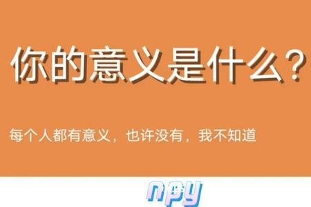 毫无怨言是什么意思