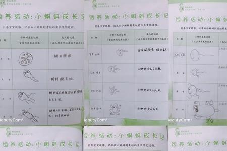 小蝌蚪的数学单位名称