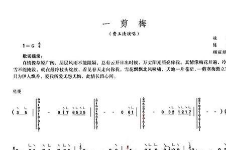 一剪梅前奏是什么乐器