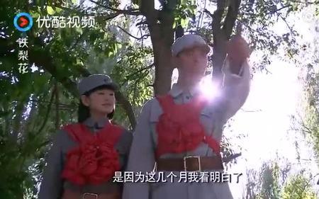 铁梨花梁飞虎秋香结婚