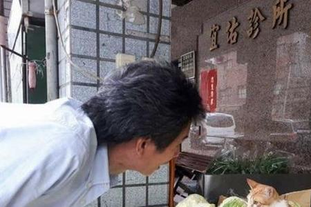 猫咪吃白菜怎么回事