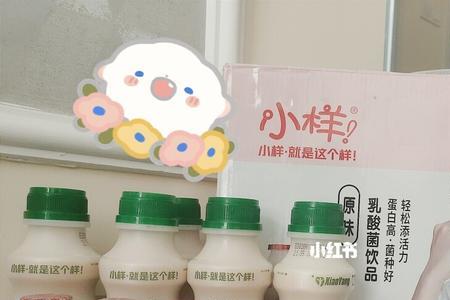 小阿妹乳酸菌怎么样