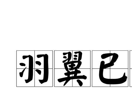 关于羽毛的成语