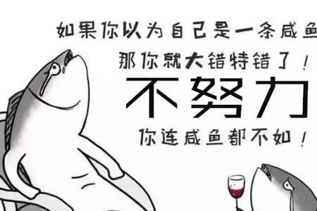 踏踏实实生活什么意思