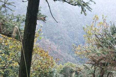 野水和汗水有什么区别