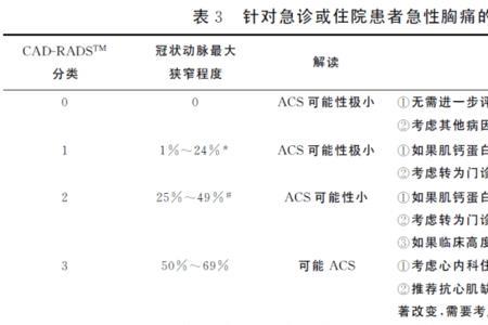 cad-rads分级标准