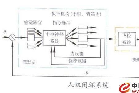 闭环人员是什么意思