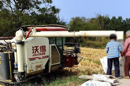 广西人叫的北佬什么意思