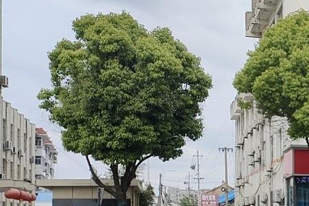 冷酷到底猜三个数字