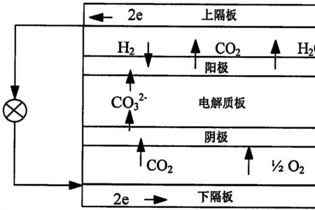 熔融盐燃料电池的反应式原理