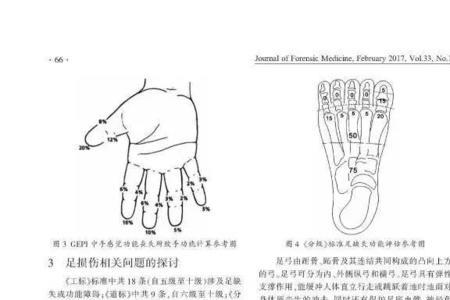 国际伤残人体联合会哪成立一年