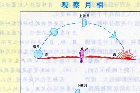 弦月是什么意思