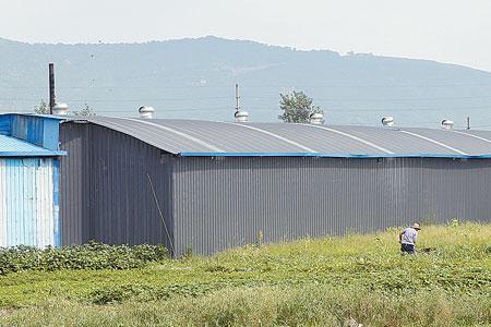 占用农田建棚有什么法律后果