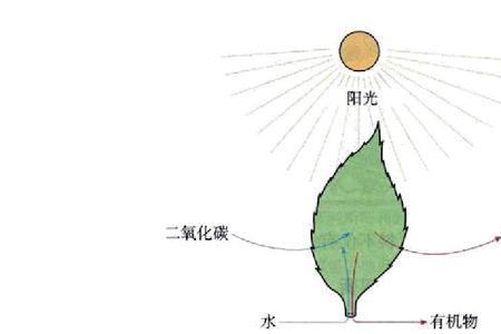 水和氧气有什么相同的元素相同