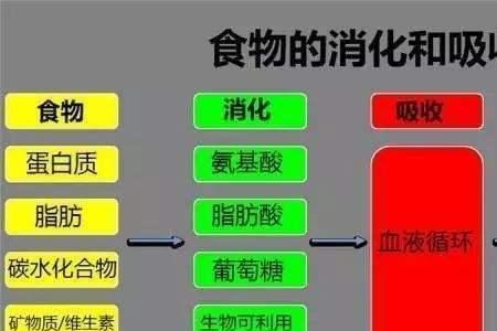 食品变质分子性质发生变化吗