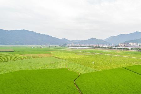 13亿亩耕地红线是指基本农田吗