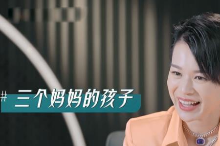 胡杏儿参加过的综艺